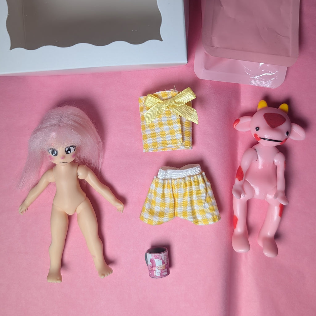 Mini Doll Blind Boxes